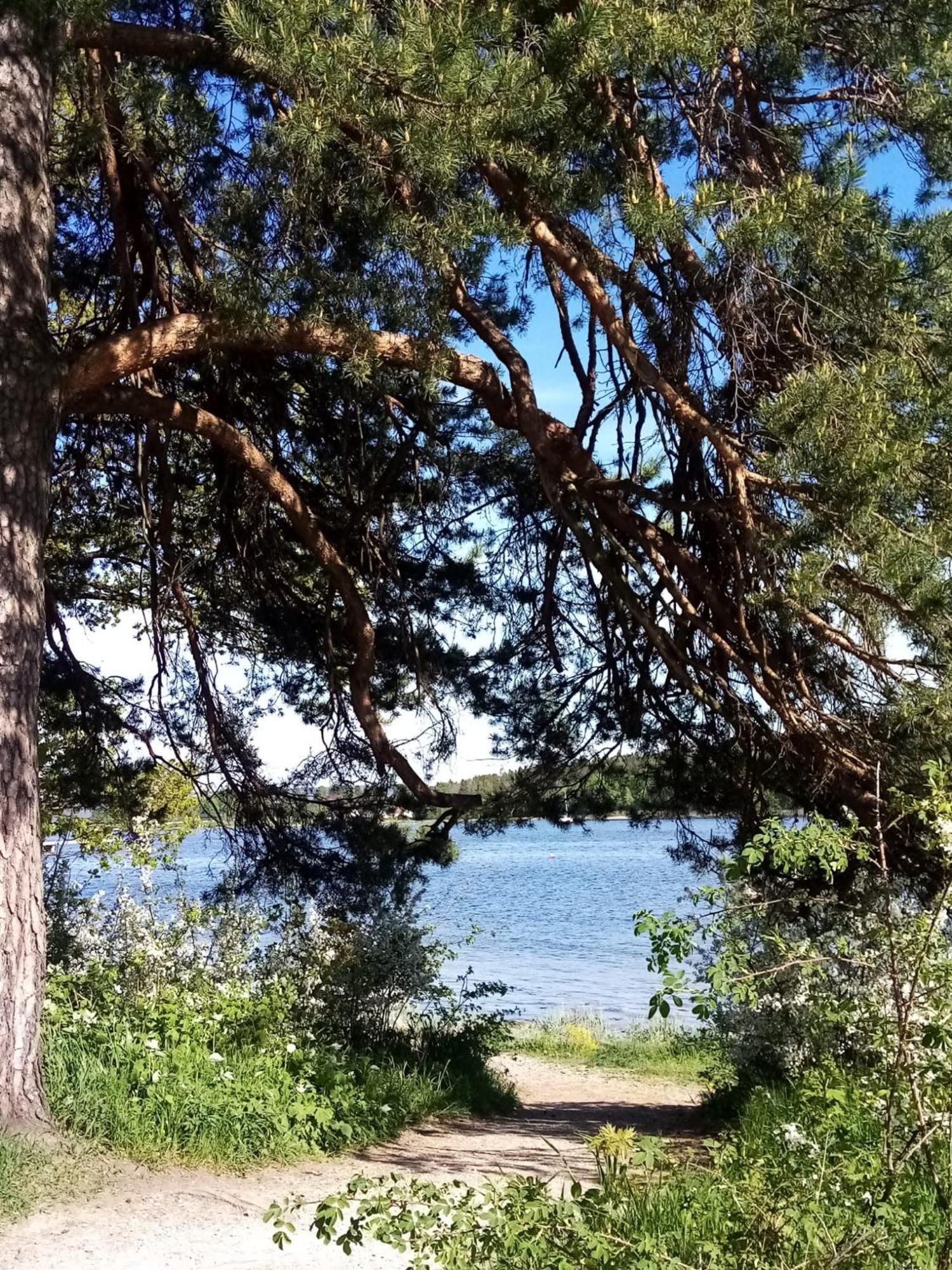 Apartament La Casa Marrone Norway Asker Zewnętrze zdjęcie